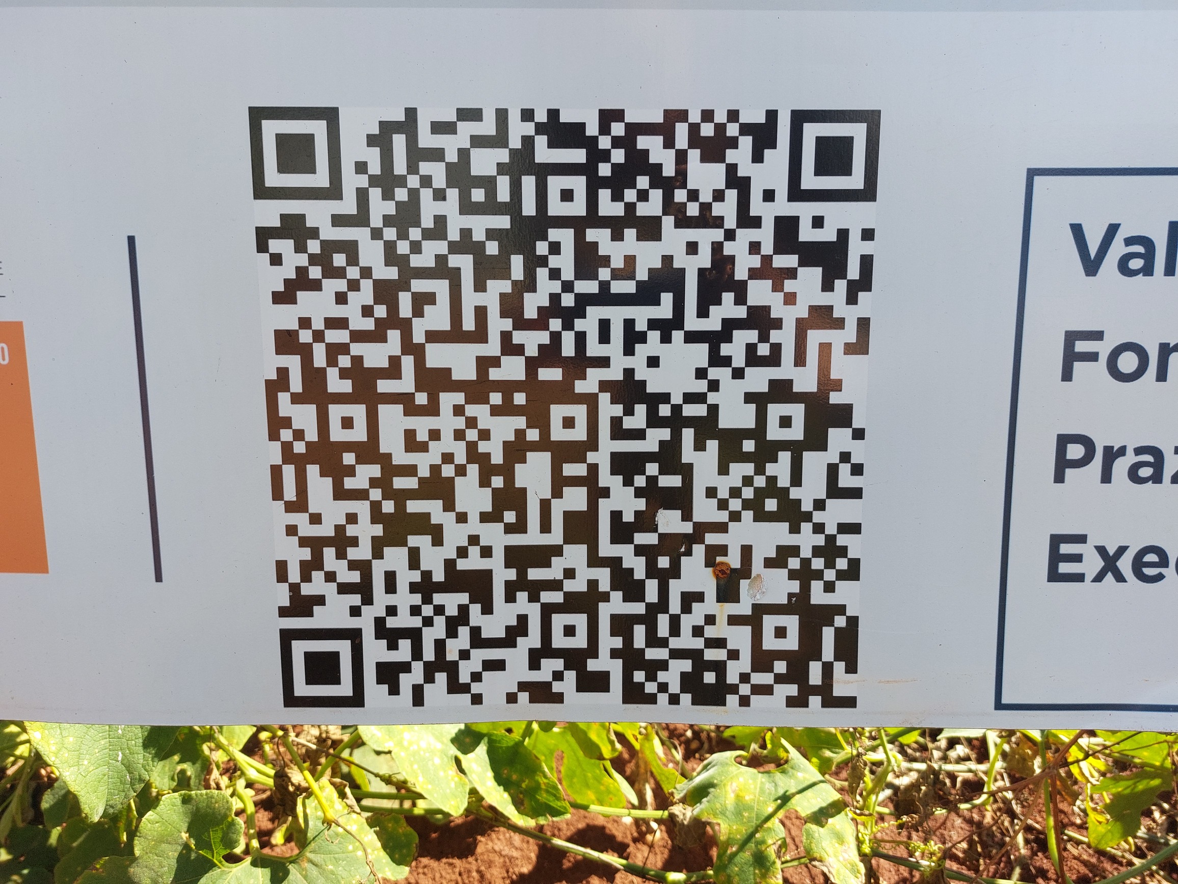 Our Work Image